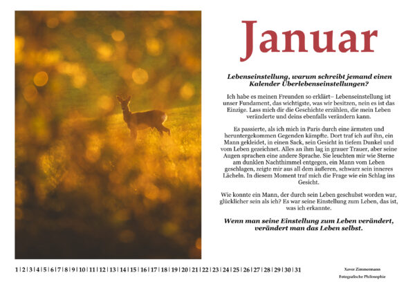 Kalender Lebenseinstellung – Dein Jahr. Deine Veränderung. – Bild 2